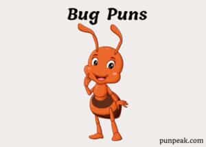 164 Bug Puns And Jokes That Will Totally Insect You With Laughter
