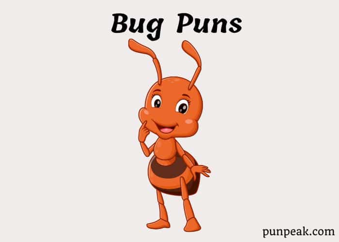 164 Bug Puns And Jokes That Will Totally Insect You With Laughter