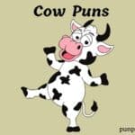 77 Cow Puns And Jokes To Set The Moood