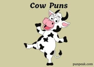 77 Cow Puns And Jokes To Set The Moood