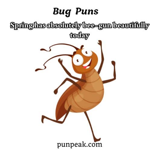 Bug Pun