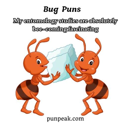 Bug Pun