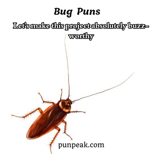 Bug Pun