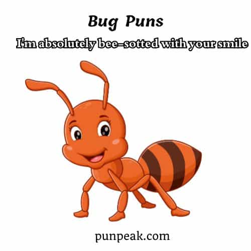 Bug Puns