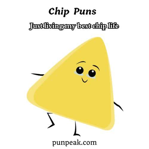 Chip Pun