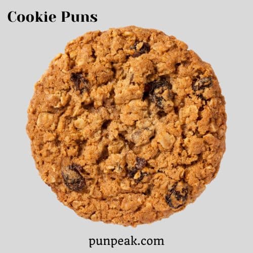 Cookie Puns