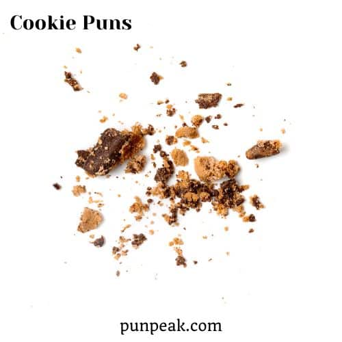 Cookie Puns