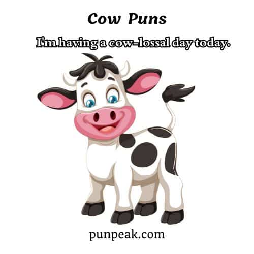 Cow Puns