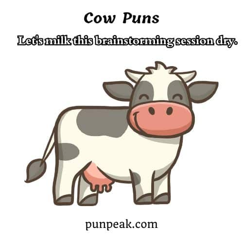 Cow Puns
