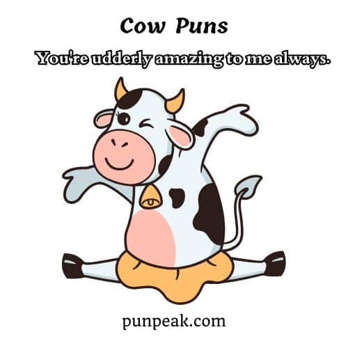 Cow jokes