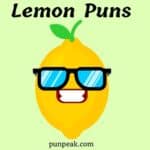 Lemon Puns