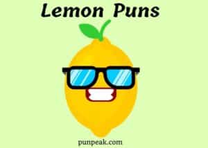 Lemon Puns