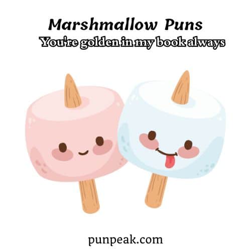 Marshmallow Pun
