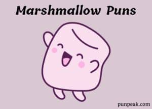 Marshmallow Puns
