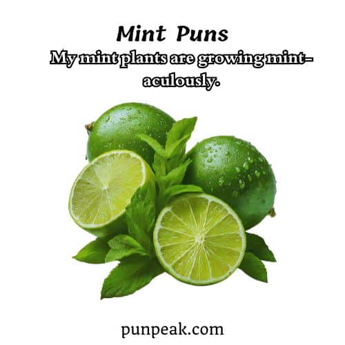Mint Pun