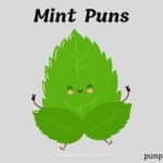 Mint Puns