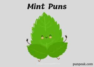 Mint Puns