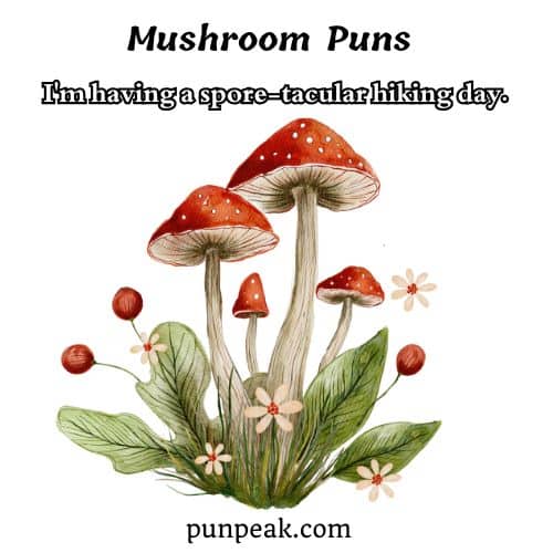 Mushroom Pun