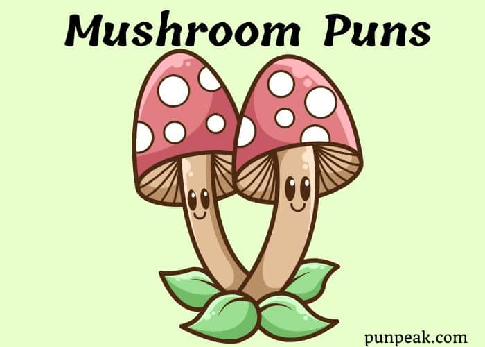 Mushroom Puns