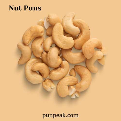 Nut Pun