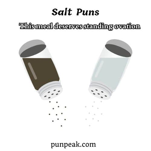 Salt Pun