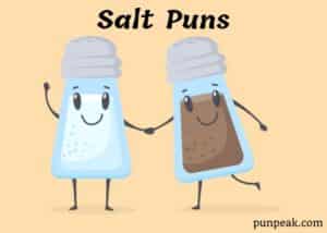 Salt Puns