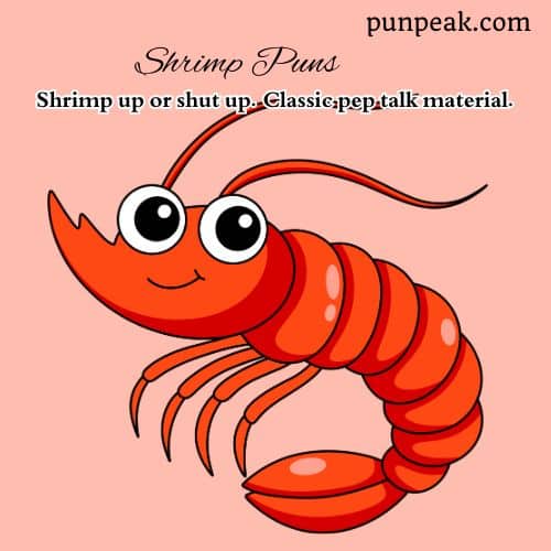 Shrimp Pun