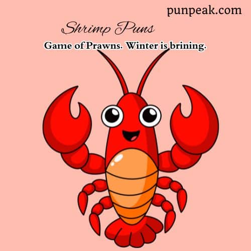 Shrimp jokes