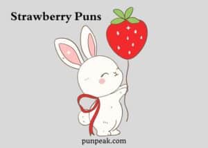 Strawberry Puns
