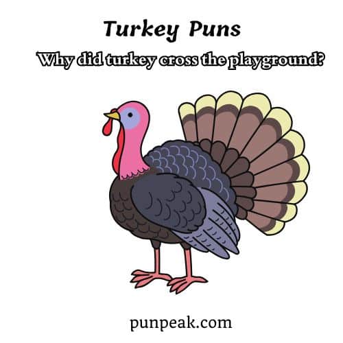 Turkey Pun