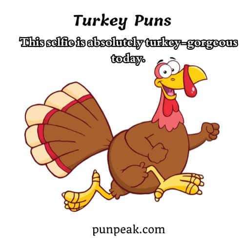 Turkey Puns