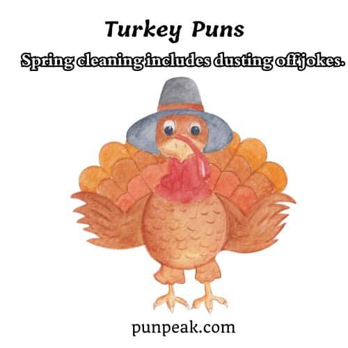 Turkey Puns