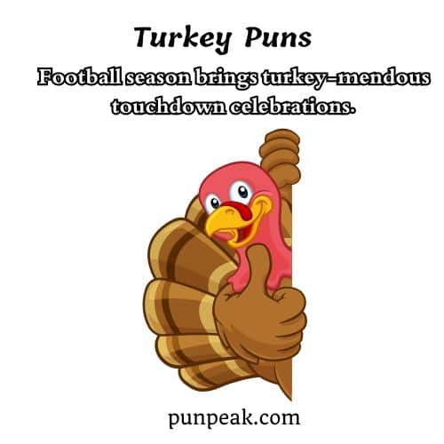 Turkey Puns