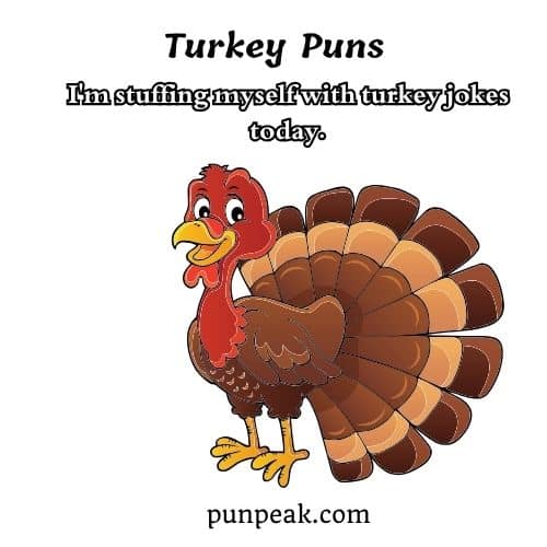 Turkey Puns