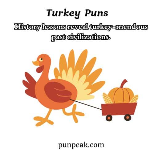 Turkey jokes