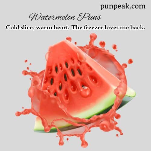 Watermelon Pun