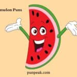 Watermelon Puns