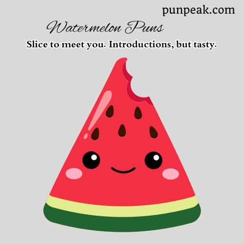 Watermelon Puns