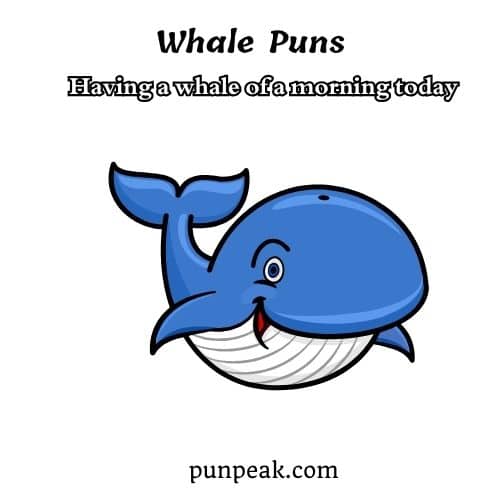 whale puns


