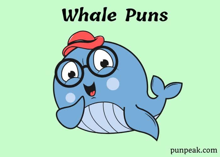 73 Whale Puns And Jokes That Are Whale Worth The Wait