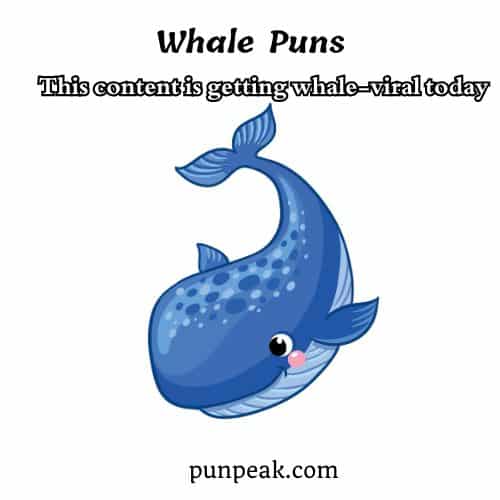 Whale jokes