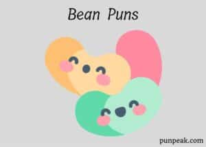 181+ Bean Puns To Chili Out With And Enjoy