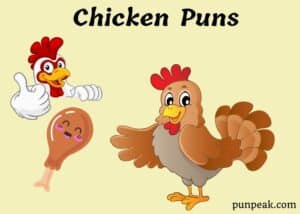 69 Chicken Puns That Are Just Plain Fowl