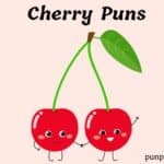 91+ Cherry Puns For A Berry Good Time