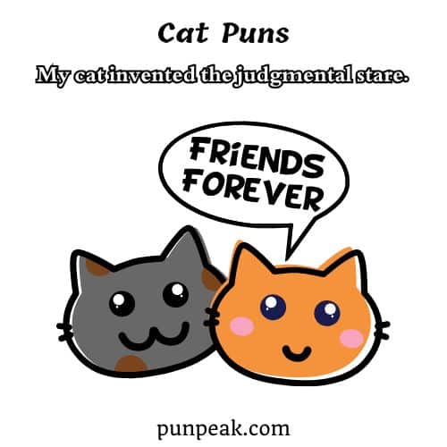 Cat Puns