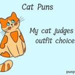 Cat Puns