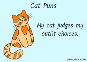 Cat Puns