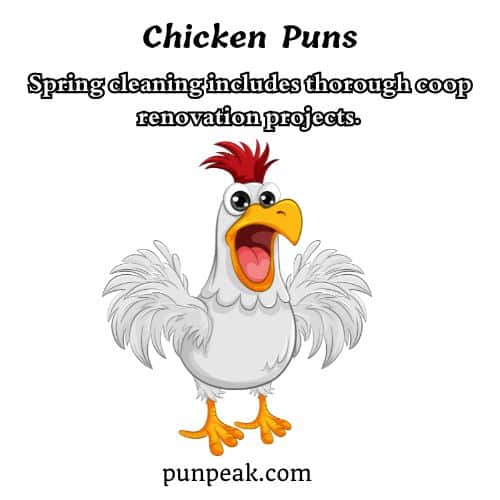 Chicken jokes