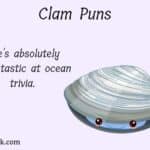 55 Clam Puns And Jokes That Are The Pearl Of The Ocean