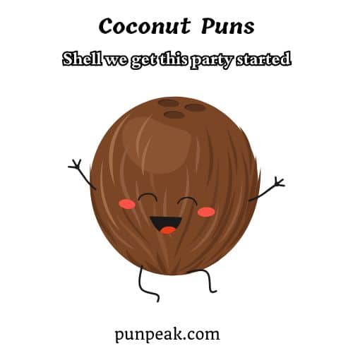 Coconut Pun